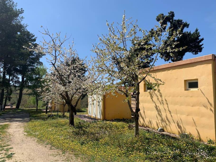 B&B Helga'S Agricampeggio Seulo Ngoại thất bức ảnh