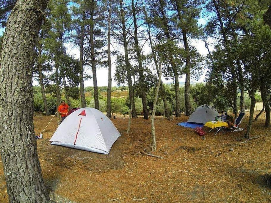 B&B Helga'S Agricampeggio Seulo Ngoại thất bức ảnh