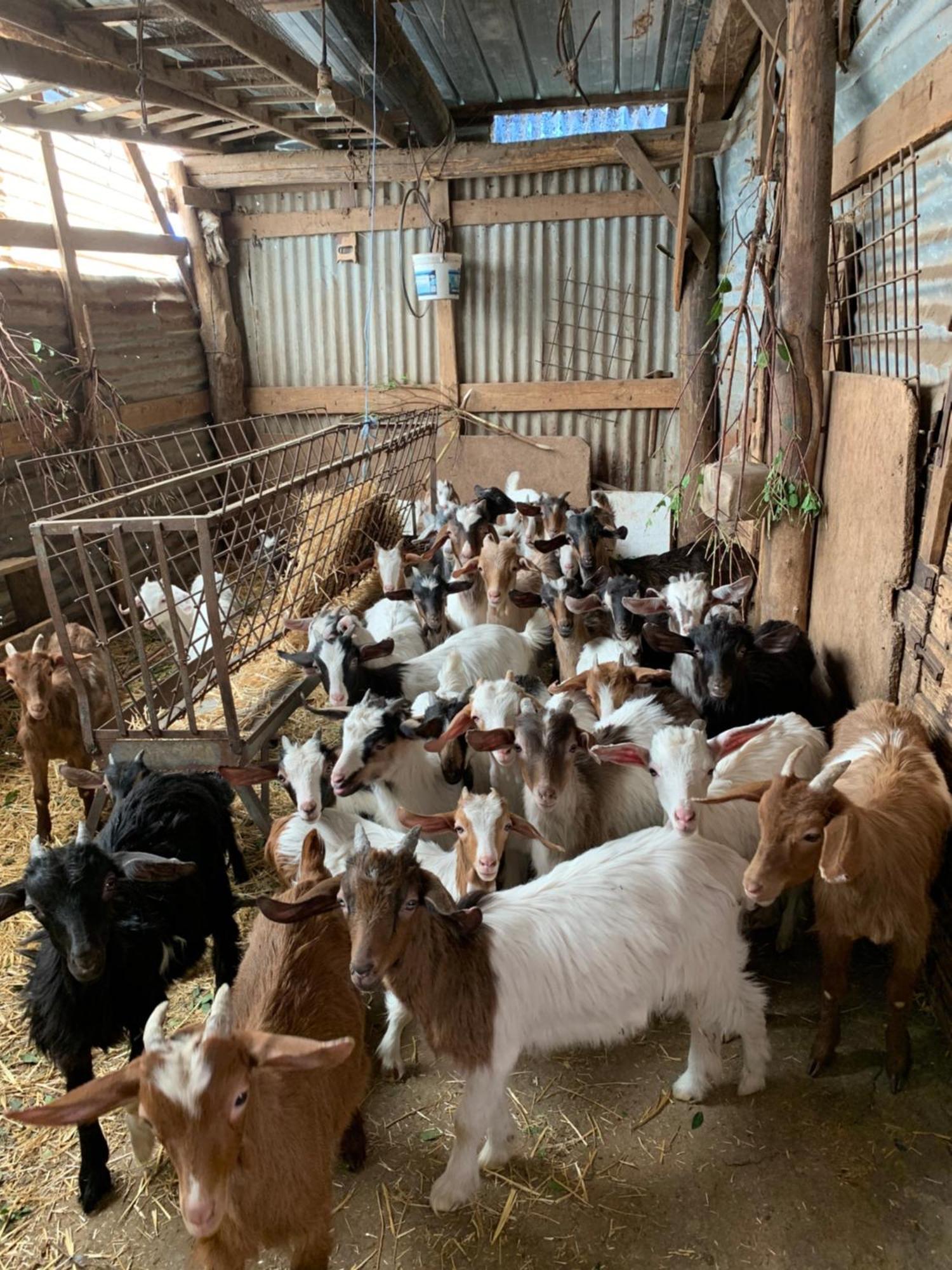 B&B Helga'S Agricampeggio Seulo Ngoại thất bức ảnh