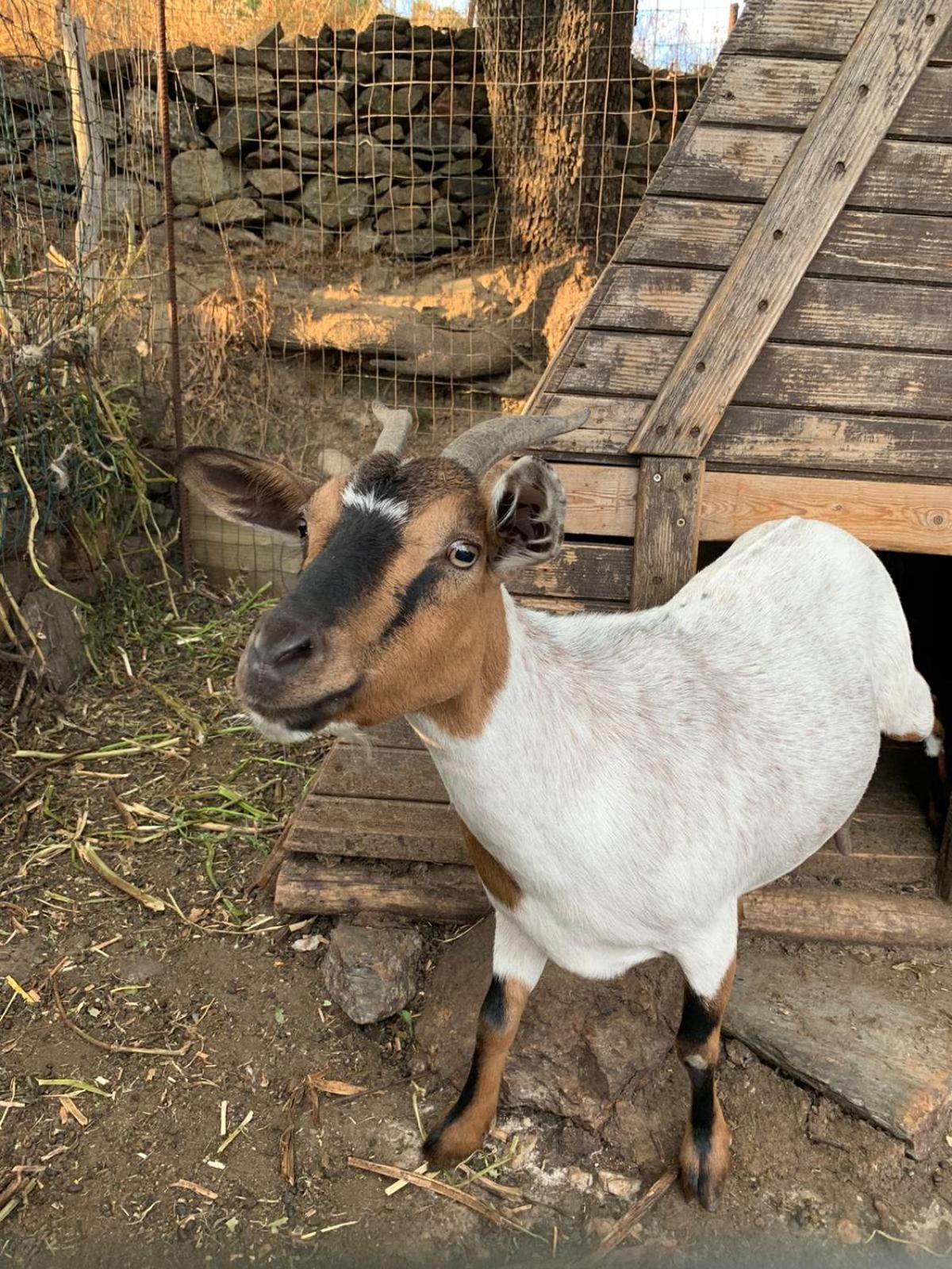 B&B Helga'S Agricampeggio Seulo Ngoại thất bức ảnh